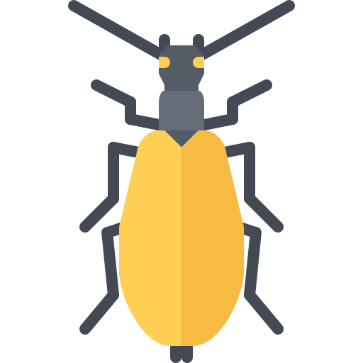 Beetle free icon Beetle free icon