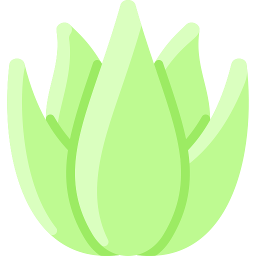 aloe vera icono gratis