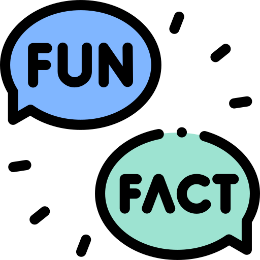 Set Cute Modern Light Fun Fact Stock Vector (Royalty Free) 1050568634 |  Shutterstock
