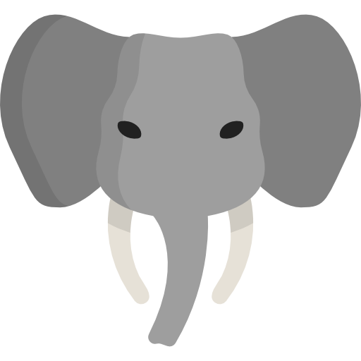 Elephant icon Special Flat