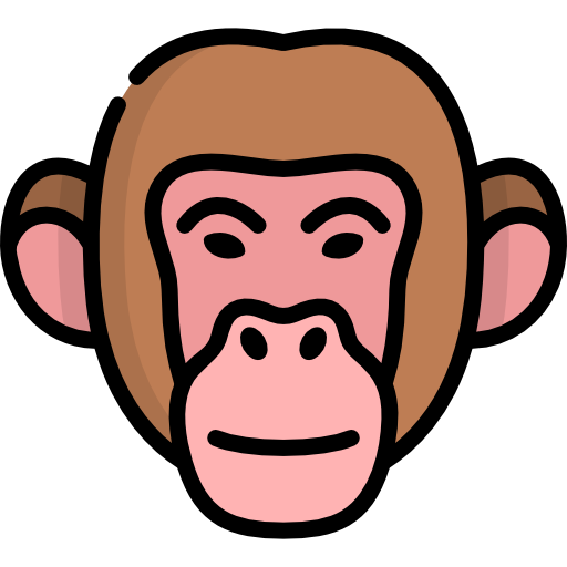 Monkey Special Lineal color icon