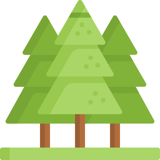 Pines Special Flat icon