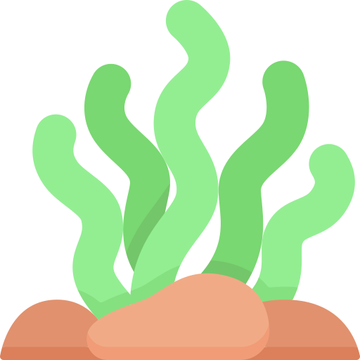 Seaweed Special Flat icon