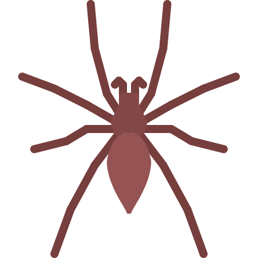 Spider free icon
