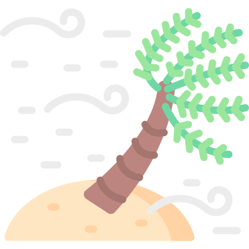 Wind free icon