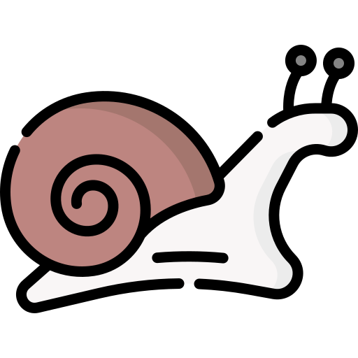 Snail Special Lineal Color Icon