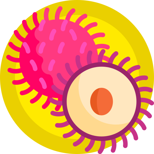 람부탄 무료 아이콘