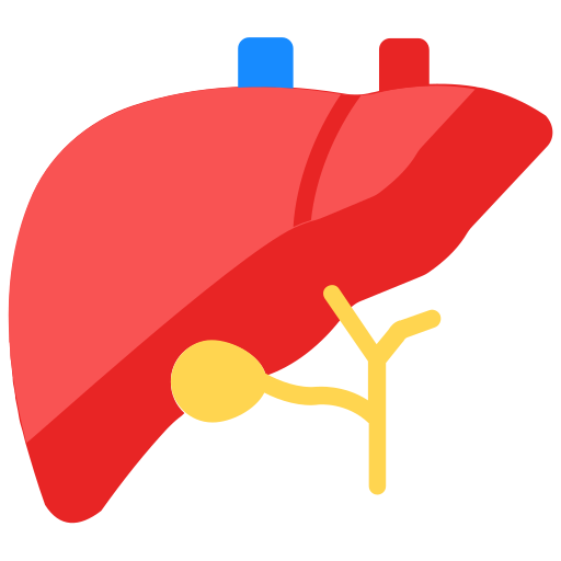 Liver Generic Flat icon