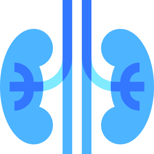 renal icono gratis