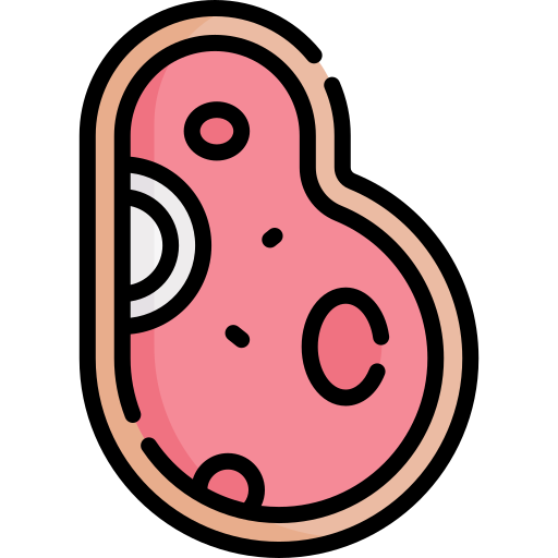 fleisch kostenlos Icon fleisch kostenlos Icon