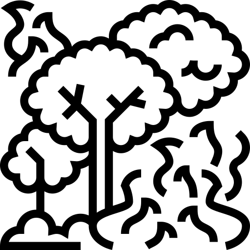 Wildfire free icon