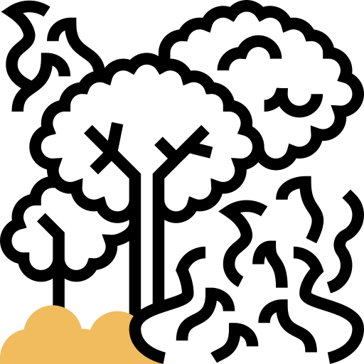 Wildfire free icon