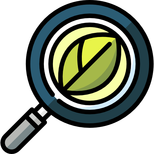 chercher Icône gratuit