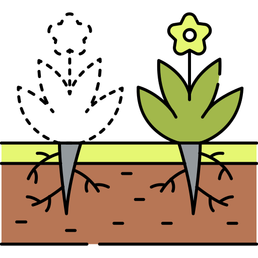 plantar grátis ícone