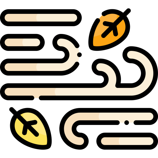 Wind free icon