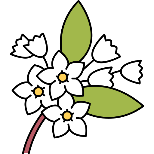 Jasmine - Free nature icons