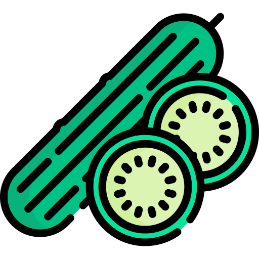 Cucumber Special Lineal color icon