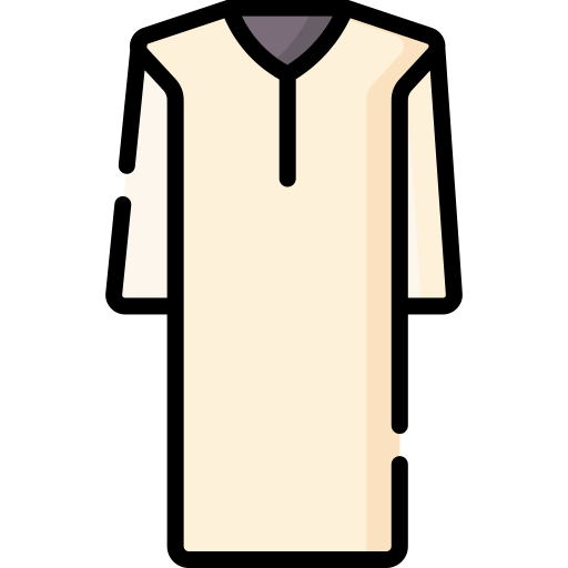 Tunic Special Lineal color icon