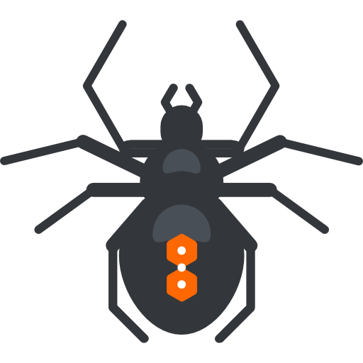 Spider Roundicons Premium Lineal Color icon