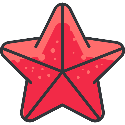 Starfish Roundicons Premium Lineal Color icon