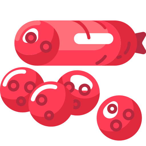 salami kostenlos Icon