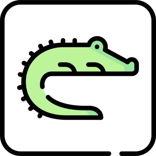 Crocodile Special Lineal color icon