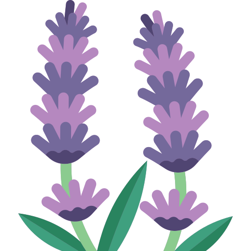 Lavender - Free nature icons