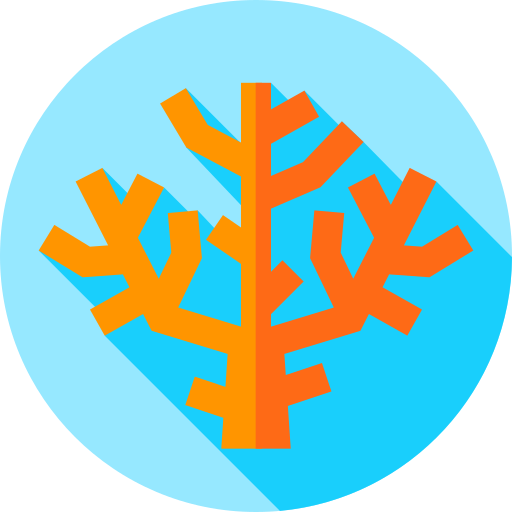 Coral free icon