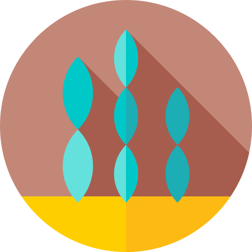 Seaweed free icon