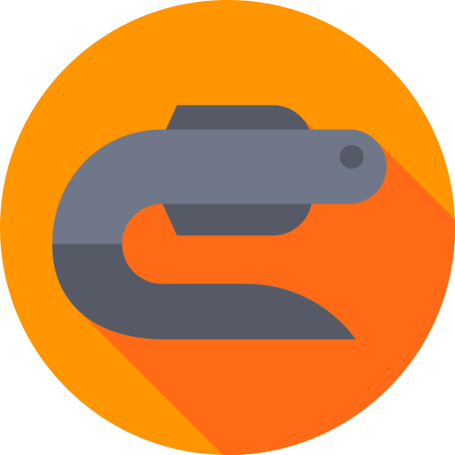 Eel free icon