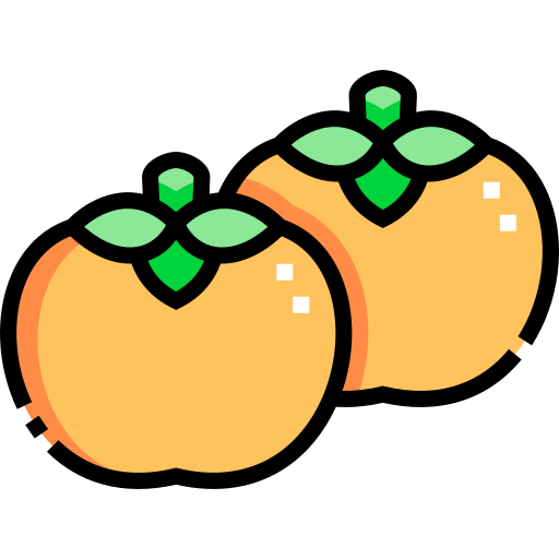 Persimmon free icon Persimmon free icon