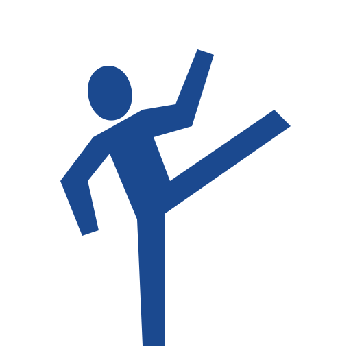 Taekwondo Generic Flat icon