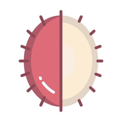 rambután icono gratis