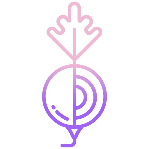 Beetroot free icon
