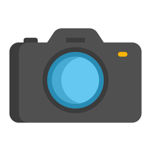 Digital camera Flaticons Flat icon