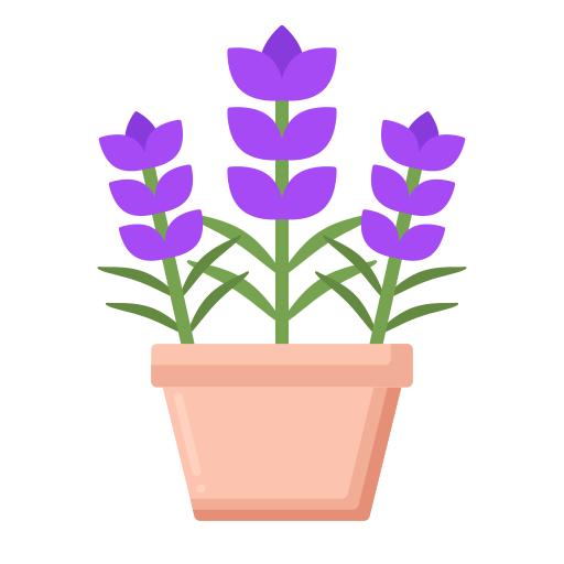 lavanda icono gratis