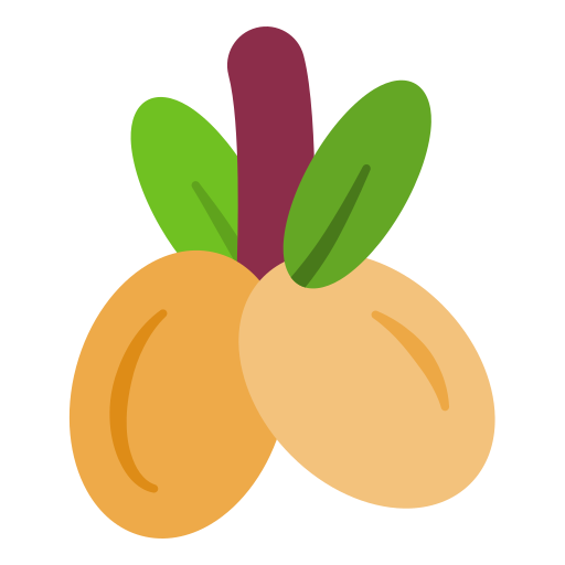 Longan Generic Flat icon