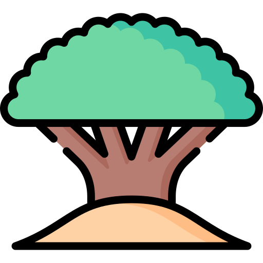 Árbol de socotra icono gratis