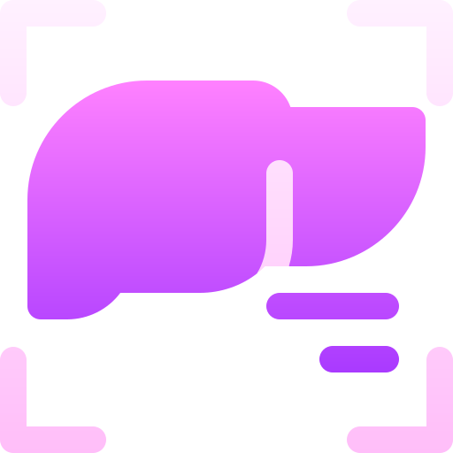 hígado icono gratis