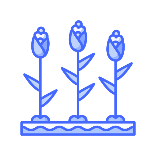 Corn free icon Corn free icon
