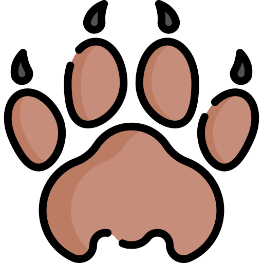 Pawprint Special Lineal Color Icon