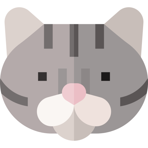 American shorthair Basic Straight Flat icon