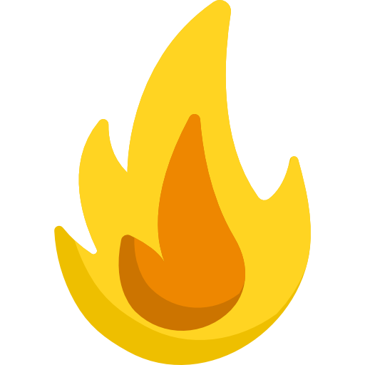 Fire Special Flat icon