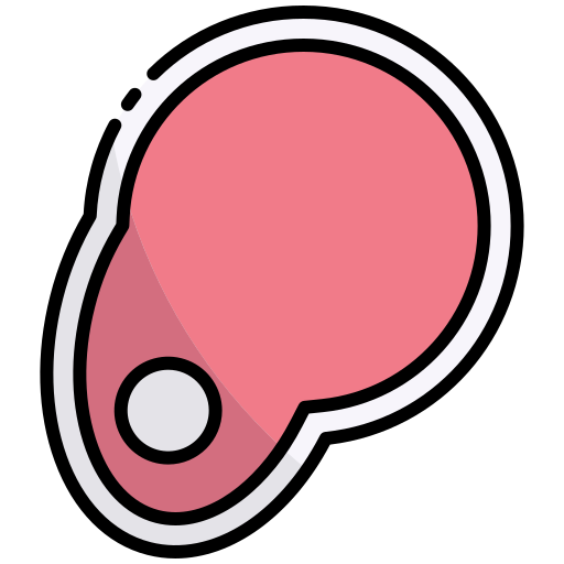 Meat Generic Outline Color icon