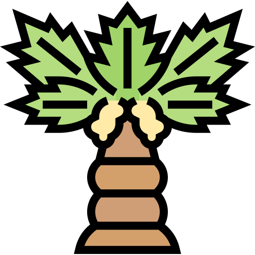 palmera icono gratis