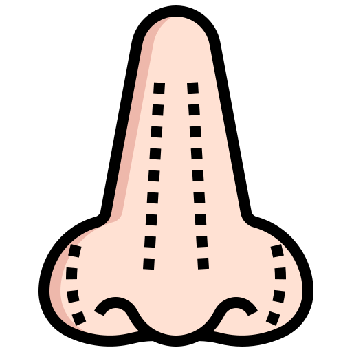 nasenkorrektur kostenlos Icon nasenkorrektur kostenlos Icon