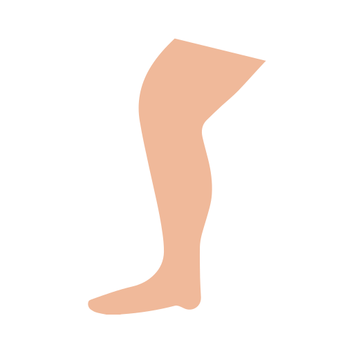 Leg Generic Flat icon