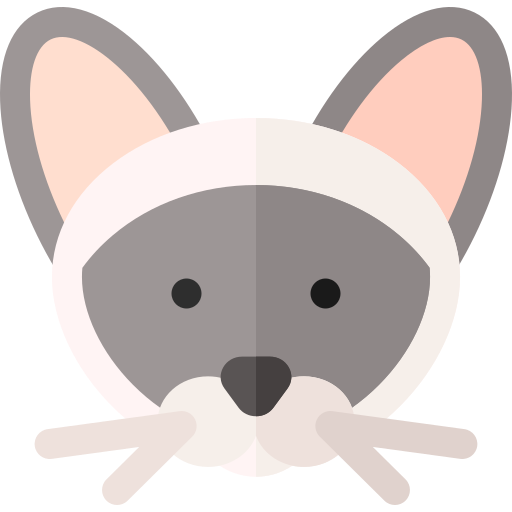 Siamese cat Basic Rounded Flat icon