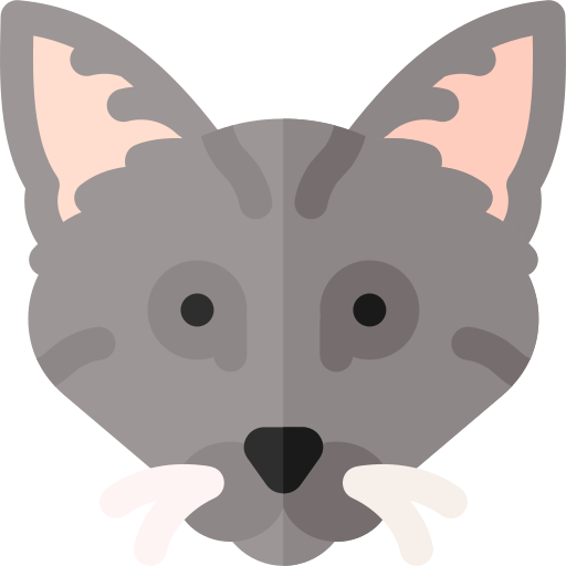 Кот бесплатно иконка