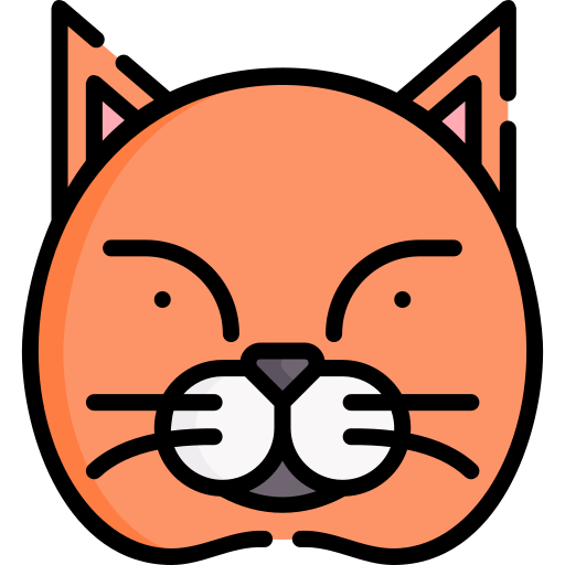 Cat Special Lineal color icon